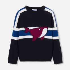 Pull, Sweat Et Cardigan-Jacadi Pull enfant garçon - MARINE/BLEU