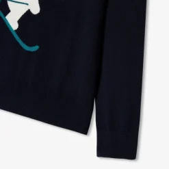 Pull, Sweat Et Cardigan-Jacadi Pull enfant garçon motif ours - marine MARINE JACADI