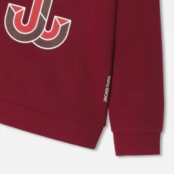 Pull, Sweat Et Cardigan-Jacadi Sweat enfant garçon - ROUGE TOMETTE