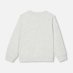 Pull, Sweat Et Cardigan-Jacadi Sweat enfant garçon en molleton - BEIGE CHINE