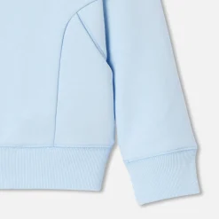 Pull, Sweat Et Cardigan-Jacadi Sweat zippé enfant garçon à capuche - NUAGE